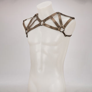 Cato Harness - Gold
